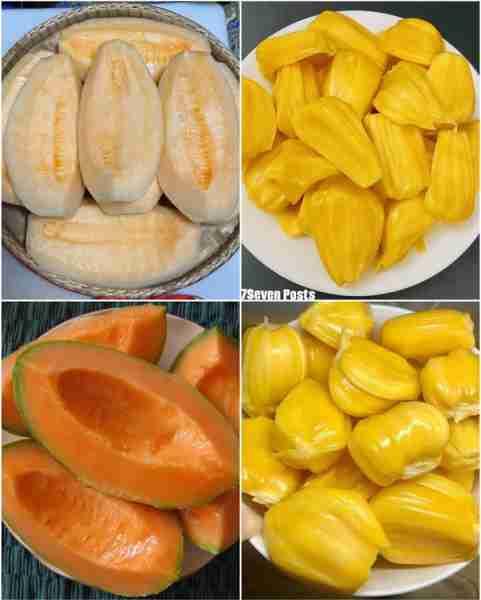 Sweet Fruits 🍈