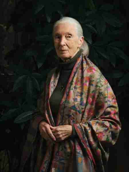 Dr. Jane Goodall, age 91, died today, October 1, 2025. I know she lived a long and fulfilling life,...