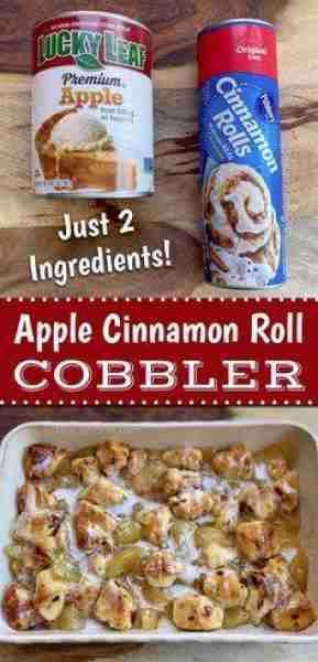 2 Ingredient Cinnamon Roll Apple Cobbler Ingredients 1 tube Pillsbury Cinnamon Rolls 1 (20oz) can of...