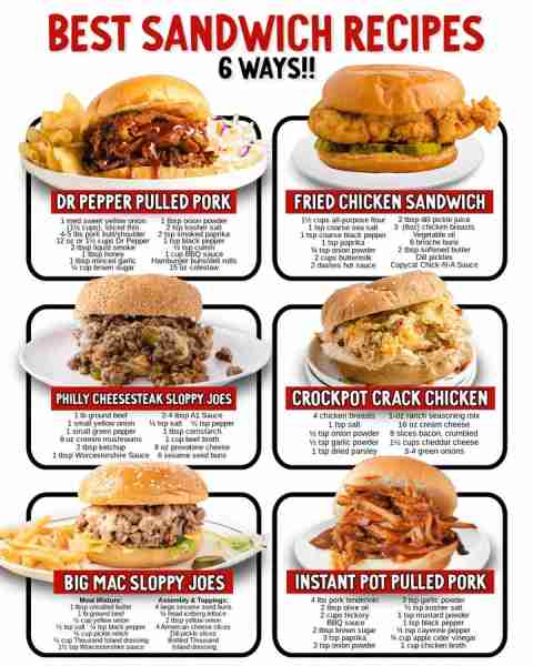 Lunch made easy! 6 sandwich recipes you’ll want on repeat 🥯 Ingredients 🥯 Dr Pepper Pulled Pork 1...