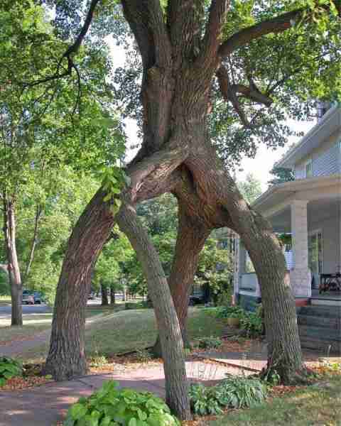 Would you want this over the entrance to your home?!