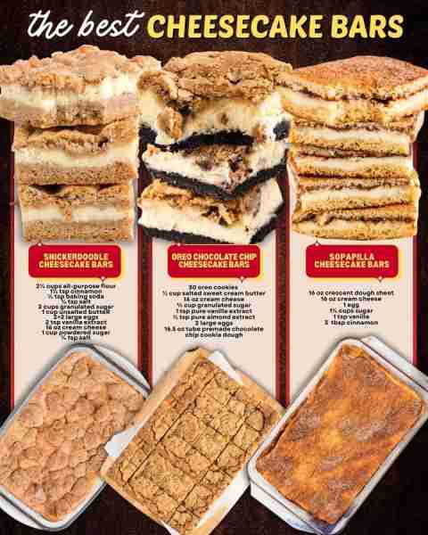 THE BEST CHEESECAKE BARS! SNICKERDOODLE CHEESECAKE BARS: 2½ cups all-purpose flour 1½ tsp cinnamon ½...