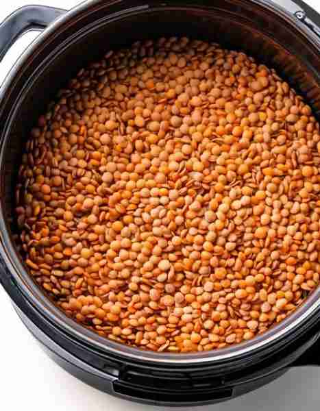 Put raw lentils in a slow cooker with these 4 ingredients. It’s pure comfort in a bowl.. Full recipe...