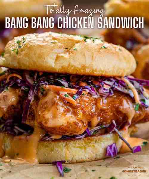 Ready for this?!? It just might be the best crispy chicken sandwich you EVER make!!