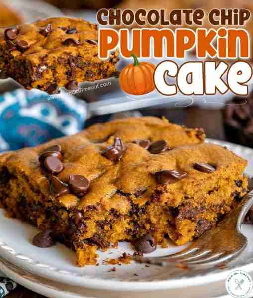 This Pumpkin Chocolate Chip Cake is moist, sweet and totally irresistible 🎃🍫 A fall treat you’ll w...