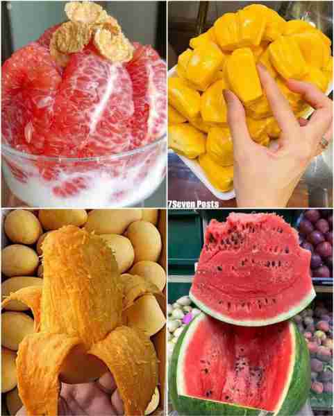 Sweet Fruits 🍉