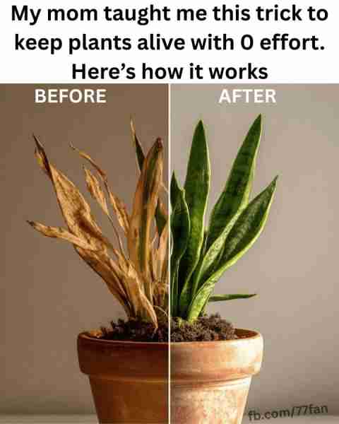 Wish I saw this earlier. Full article 👇 💬