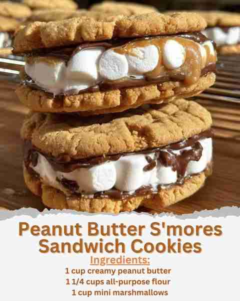 Peanut Butter S'mores Sandwich Cookies Ingredients: - 1 cup creamy peanut butter - 1/2 cup unsalted...