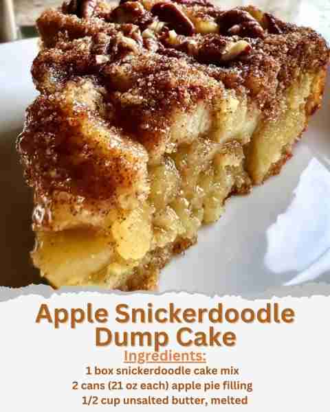 Apple Snickerdoodle Dump Cake Ingredients: - 1 box snickerdoodle cake mix - 2 cans (21 oz each) appl...