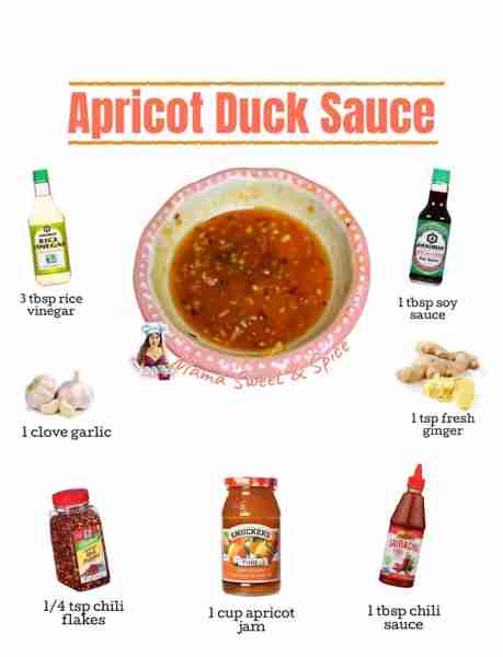 Easy and delicious dipping sauce! Apricot “Duck Sauce” Sweet and tangy sauce that is great for egg r...