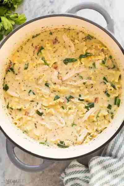 This White Chicken Lasagna Soup is made with chicken, sun-dried tomatoes, and spinach in a creamy, g...