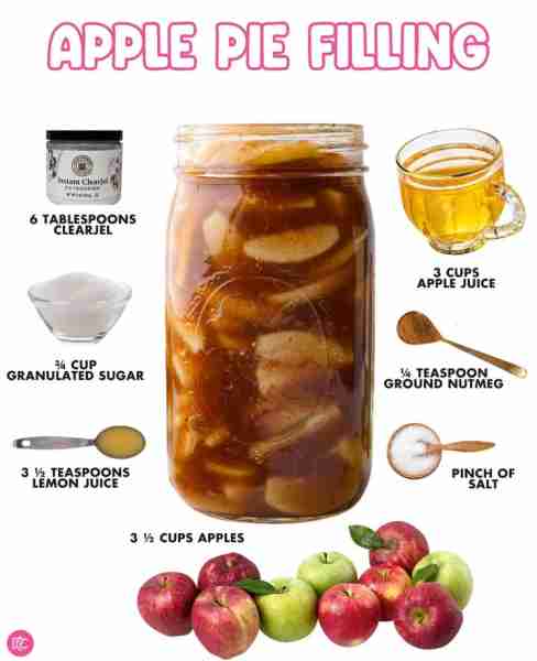 SAVE this recipe for the ultimate Apple Pie this Thanksgiving!