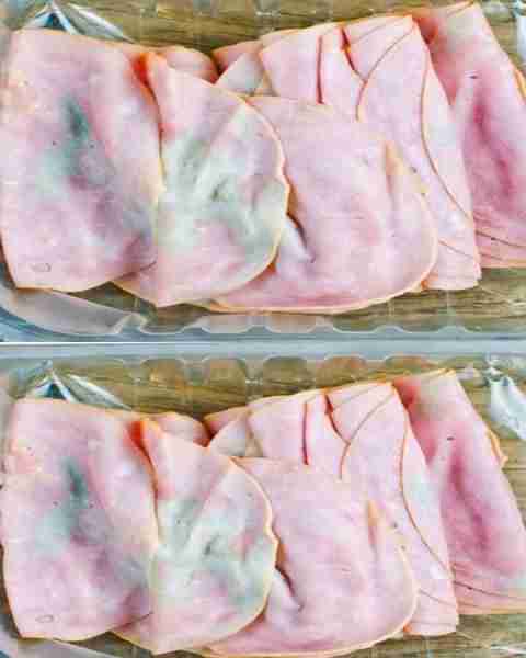 Pulled out some deli meat from fridge. My mother-in-law says it's wasteful not to use it, but it loo...
