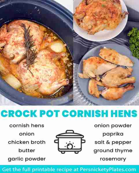 Slow Cooker Cornish Hens INGREDIENTS 1 large onion quartered ½ cup chicken broth 2 small cornish gam...
