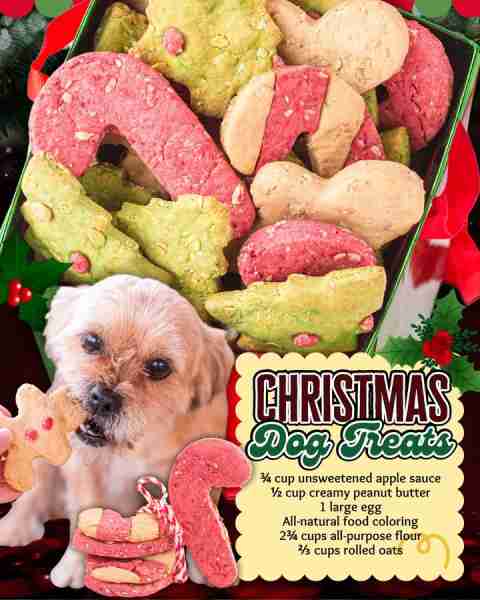 CHRISTMAS DOG TREAT 🎄🐶 ¾ cup unsweetened apple sauce ½ cup creamy peanut butter 1 large egg All-na...