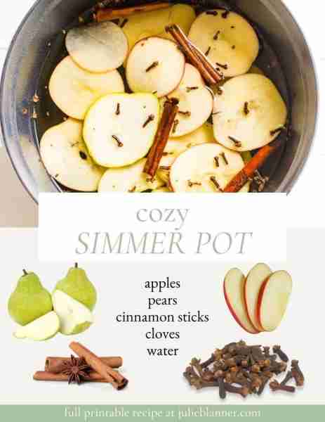 Making a simmer pot is so simple and makes your home smell amazing for days. Enjoy all that fall has...