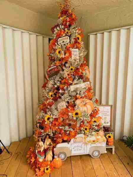 Absolutely gorgeous Fall Tree - Too beautiful not to share. Image Source Unknown Tami’s Home & Pantr...