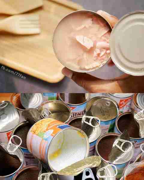 Don’t throw away tuna cans, they’re worth their weight in gold at home: how to reuse them Article in...