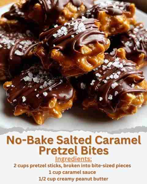No-Bake Salted Caramel Pretzel Bites Ingredients: - 2 cups pretzel sticks, broken into bite-sized pi...