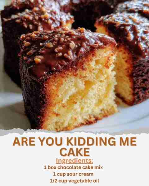 ARE YOU KIDDING ME CAKE Ingredients: - 1 box chocolate cake mix - 1 cup sour cream - 1/2 cup vegetab...