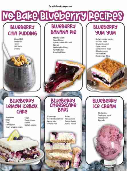 🫐 NO BAKE BLUEBERRY RECIPES Love blueberries? We have you covered! RECIPE LIST IN COMMENTS