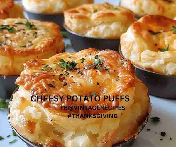 CHEESY POTATO PUFFS 2 cups mashed potatoes, cooled 1 1/2 cups sharp cheddar cheese, shredded or any...