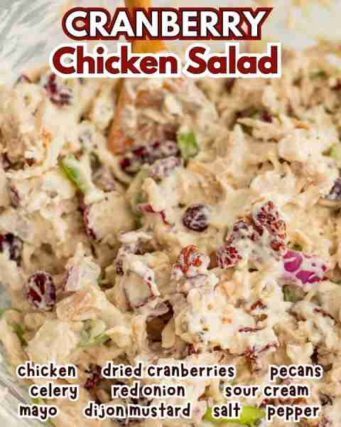 Cranberry Chicken Salad- great with turkey, too! ▢ 2 cups cooked chicken shredded or chopped, or tur...