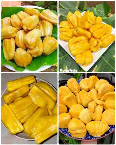 Jackfruit 🤤