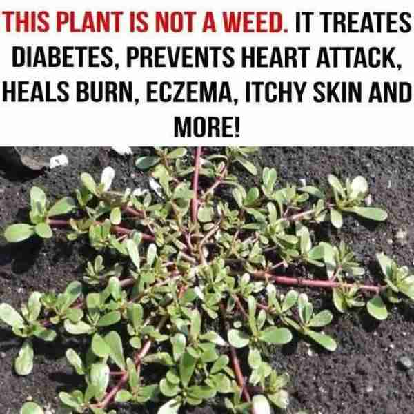 Learn more about it! 👇
