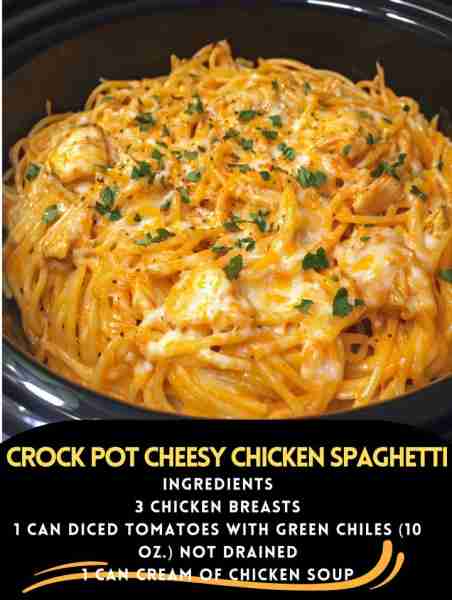 Crock Pot Cheesy Chicken Spaghetti Ingredients: 2 lbs boneless, skinless chicken breasts 1 lb spaghe...