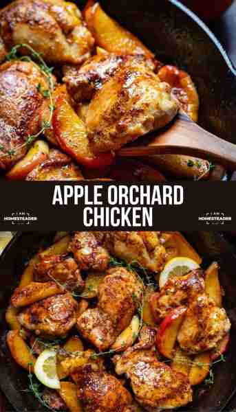 When the orchard meets the skillet! This chicken + apple combo is cozy perfection!!