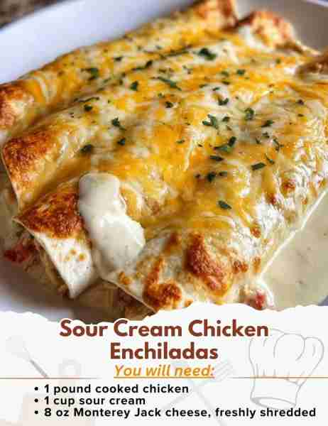Sour Cream Chicken Enchiladas Ingredients: - 1 pound cooked chicken, shredded into bite-sized pieces...