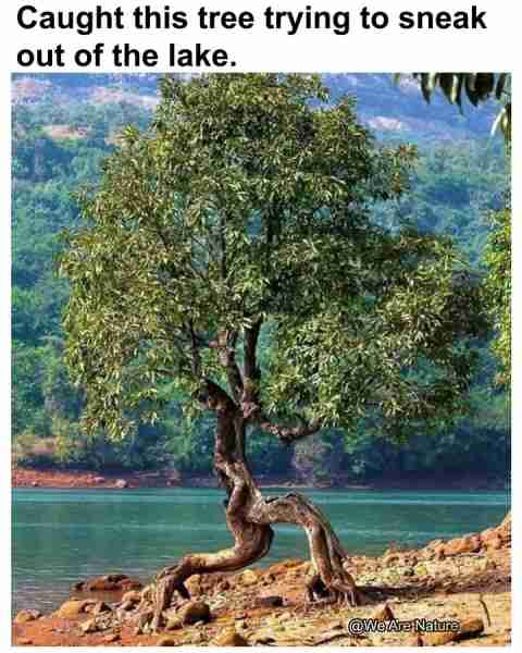 Looks like it's trying to branch out into a new location! 😄