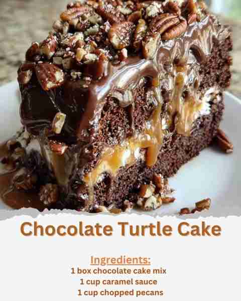 Chocolate Turtle Cake Ingredients: - 1 box chocolate cake mix (plus ingredients required on the box)...