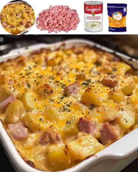 Cheesy Ham and Potato Casserole Ingredients: - 2 cups diced ham - 4 cups diced potatoes - 1 cup shre...