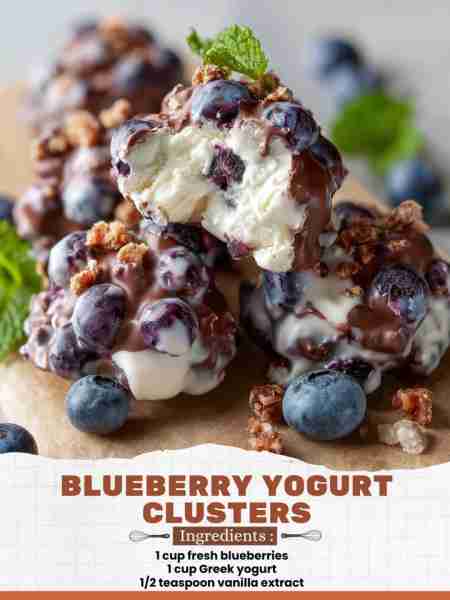 Blueberry Yogurt Clusters Ingredients: 1 cup fresh blueberries 1 cup Greek yogurt ½ teaspoon vanill...